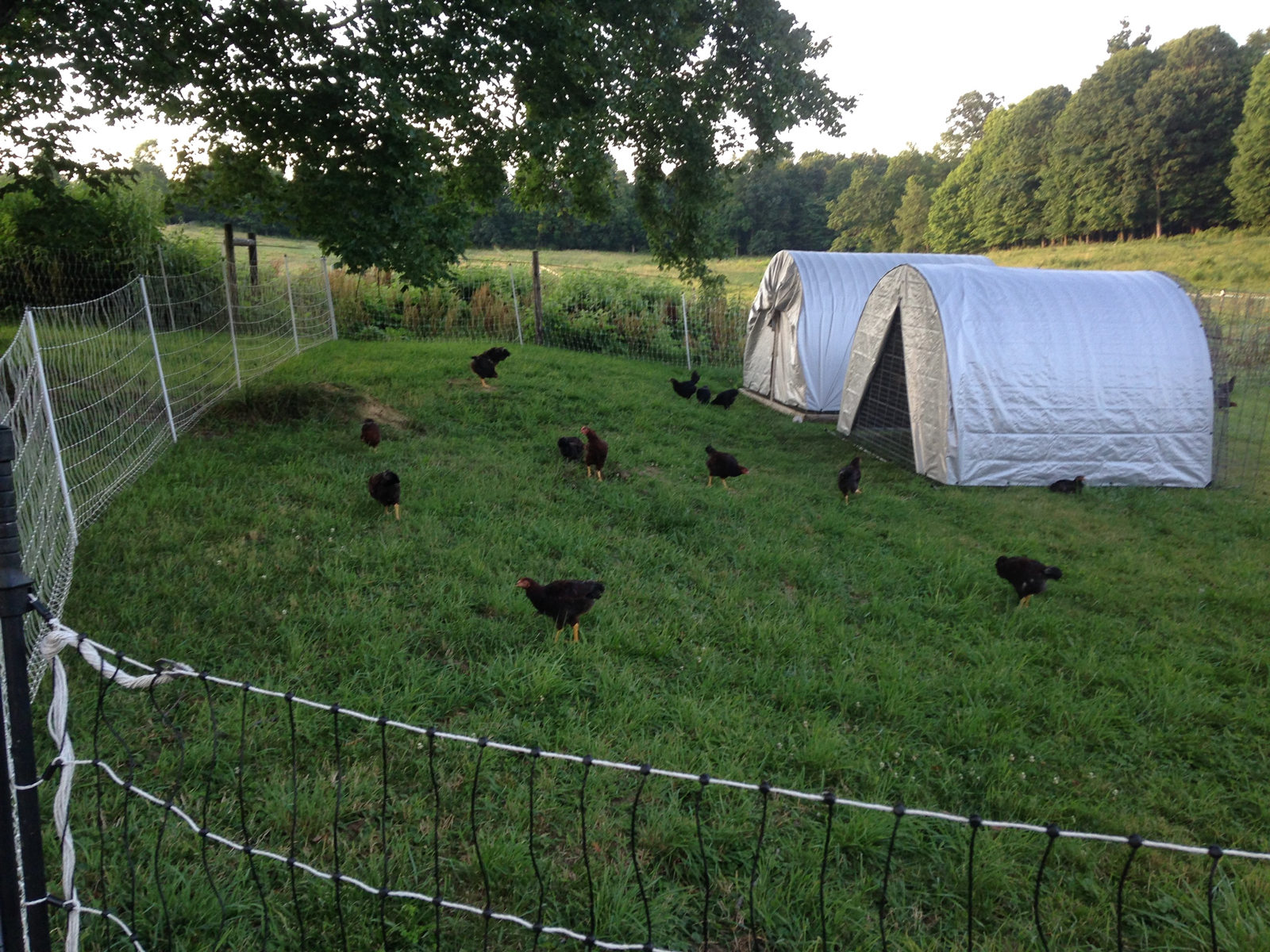 Small is the Next Big Thing